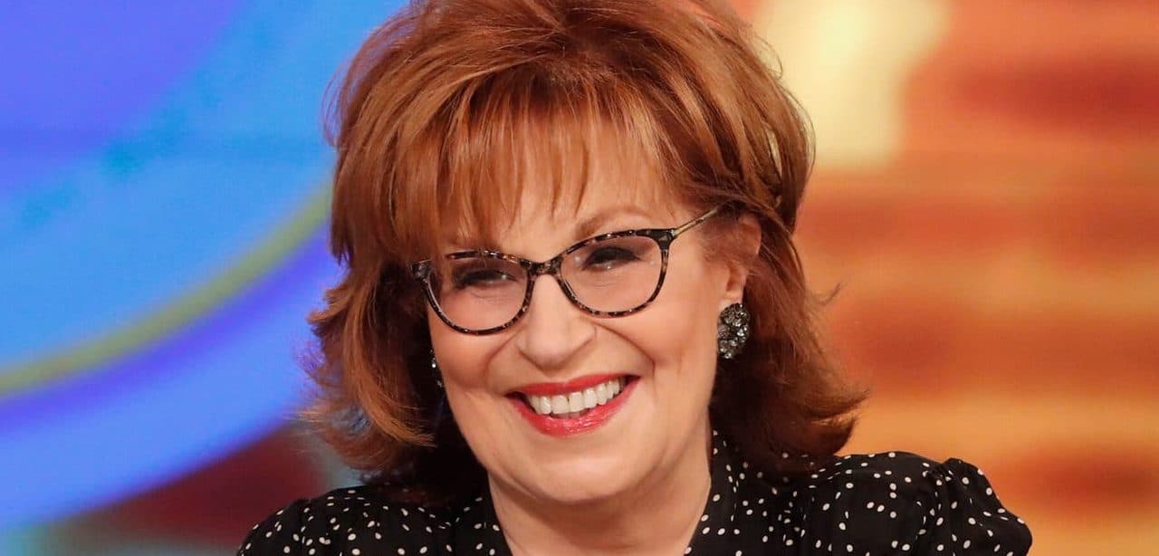 The View Co-Host Joy Behar Says States Might Segregate Schools Again